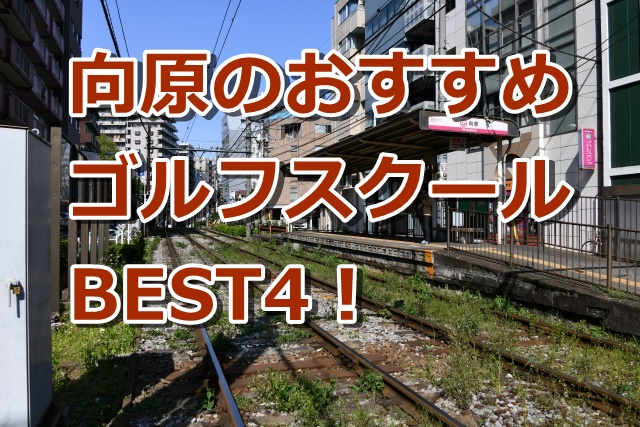 向原で初心者におすすめのゴルフスクール4選！
